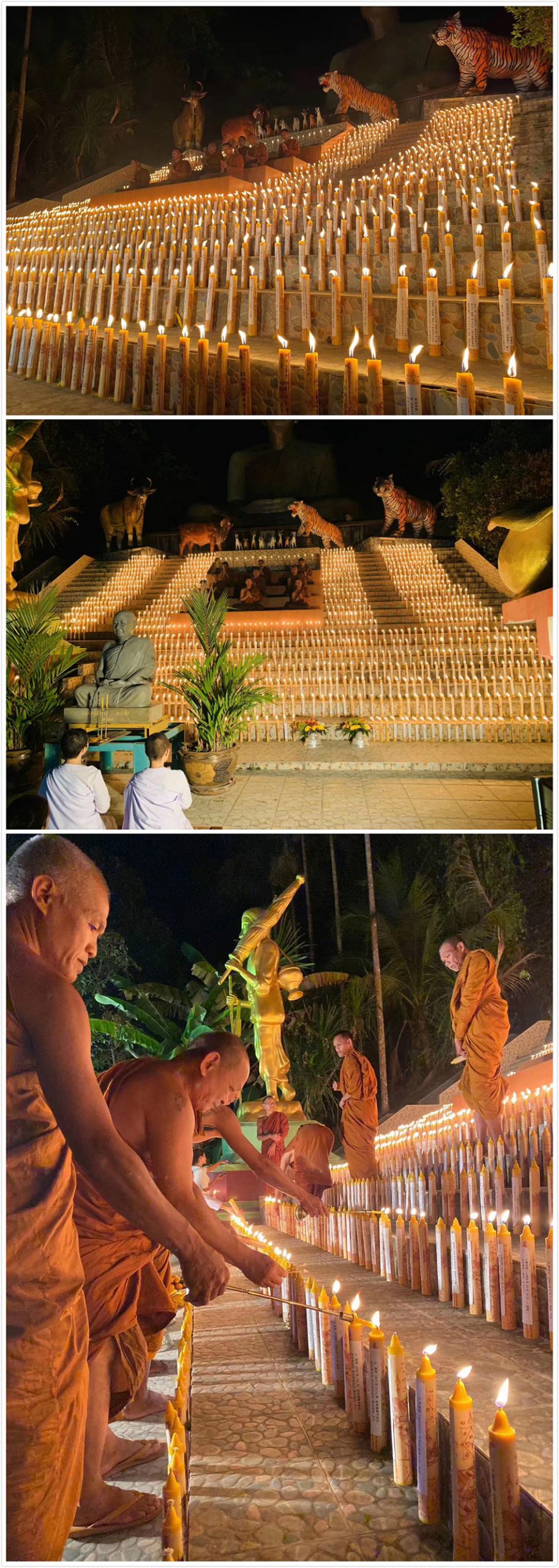 许愿祈福，去泰国灵验的仙山，一年只开一次（2.3月）插图